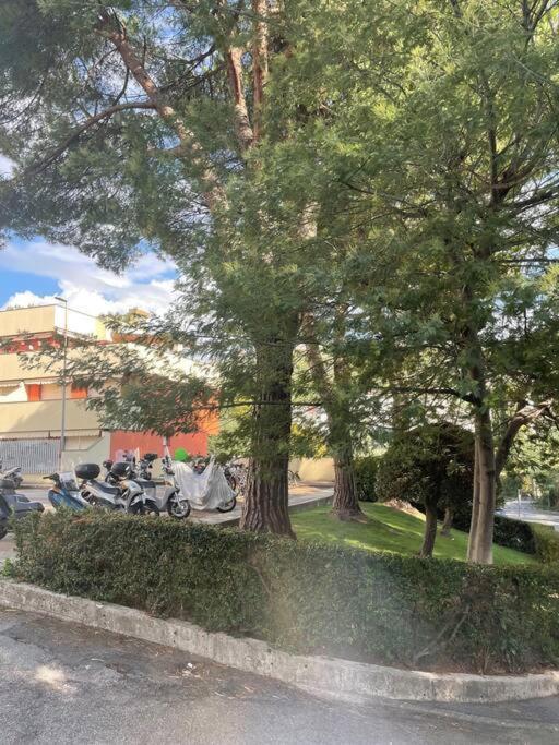 La Casa Di Teri A Chiavari Exterior foto